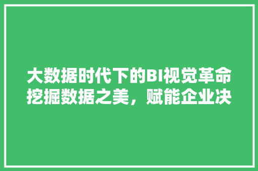 大数据时代下的BI视觉革命挖掘数据之美，赋能企业决策