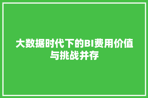 大数据时代下的BI费用价值与挑战并存  第1张