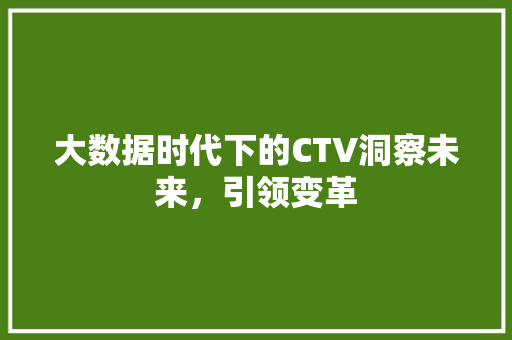 大数据时代下的CTV洞察未来，引领变革
