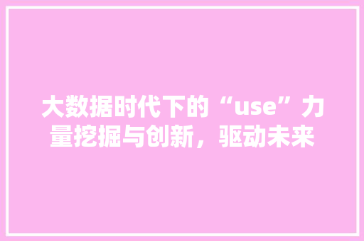 大数据时代下的“use”力量挖掘与创新，驱动未来