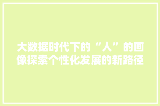 大数据时代下的“人”的画像探索个性化发展的新路径  第1张