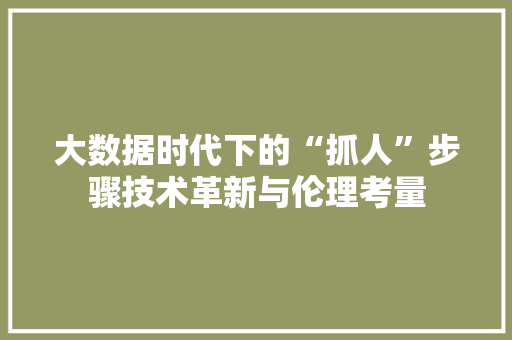大数据时代下的“抓人”步骤技术革新与伦理考量  第1张