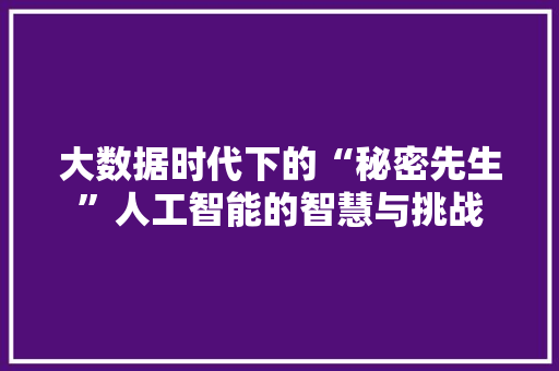 大数据时代下的“秘密先生”人工智能的智慧与挑战  第1张