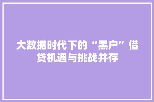 大数据时代下的“黑户”借贷机遇与挑战并存  第1张