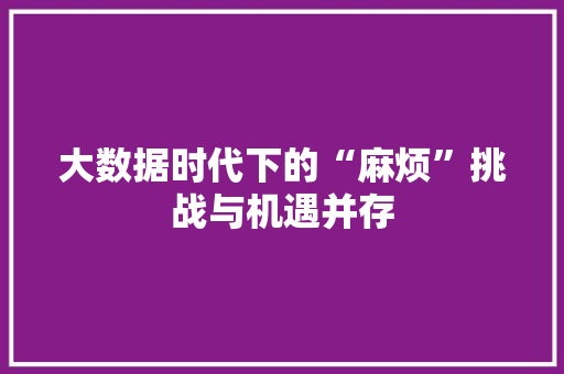 大数据时代下的“麻烦”挑战与机遇并存  第1张