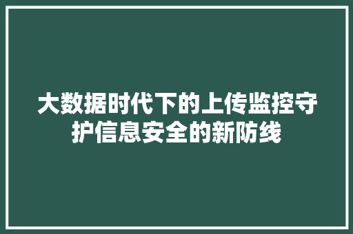 大数据时代下的上传监控守护信息安全的新防线