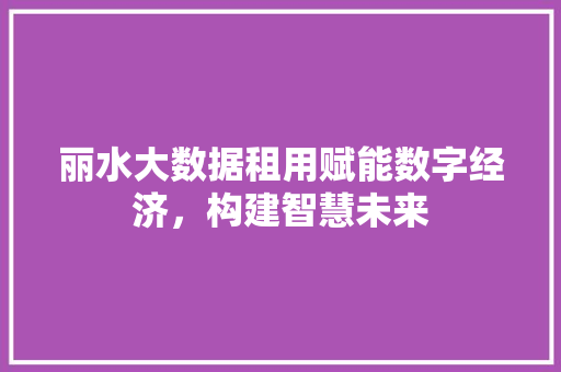 丽水大数据租用赋能数字经济，构建智慧未来