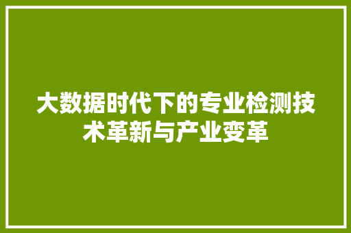 大数据时代下的专业检测技术革新与产业变革  第1张