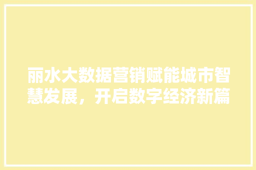 丽水大数据营销赋能城市智慧发展，开启数字经济新篇章