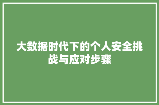 大数据时代下的个人安全挑战与应对步骤
