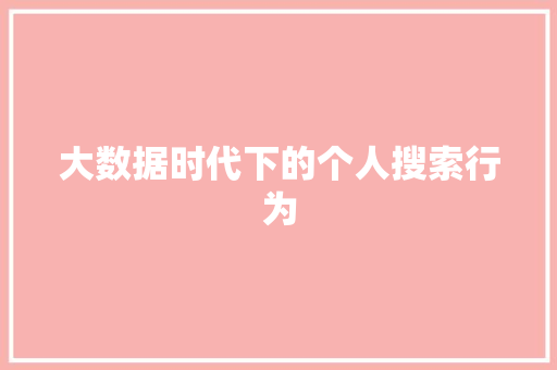 大数据时代下的个人搜索行为  第1张