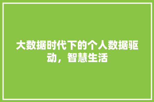 大数据时代下的个人数据驱动，智慧生活  第1张
