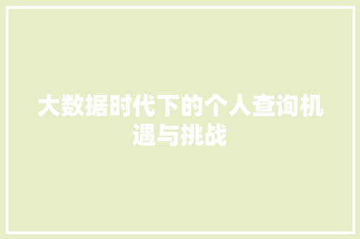 大数据时代下的个人查询机遇与挑战  第1张