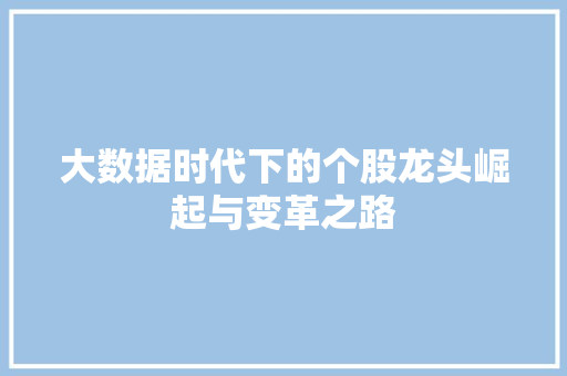 大数据时代下的个股龙头崛起与变革之路