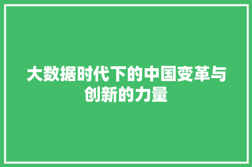 大数据时代下的中国变革与创新的力量