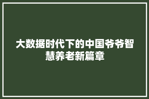 大数据时代下的中国爷爷智慧养老新篇章