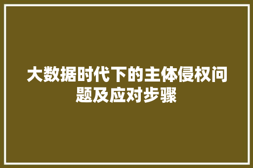大数据时代下的主体侵权问题及应对步骤