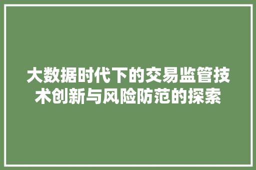 大数据时代下的交易监管技术创新与风险防范的探索  第1张