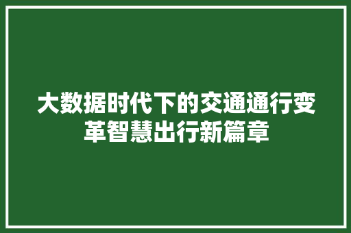 大数据时代下的交通通行变革智慧出行新篇章  第1张