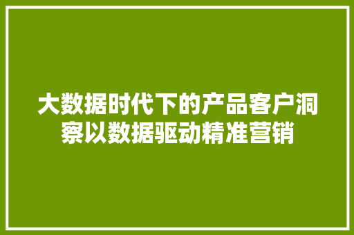 大数据时代下的产品客户洞察以数据驱动精准营销