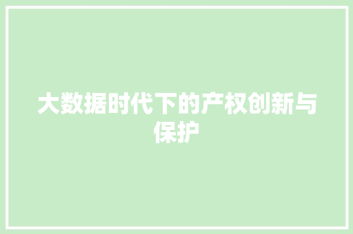 大数据时代下的产权创新与保护