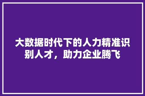 大数据时代下的人力精准识别人才，助力企业腾飞  第1张