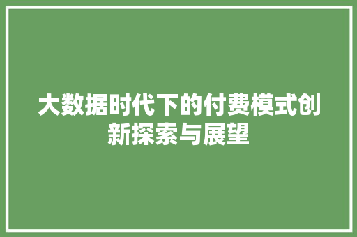 大数据时代下的付费模式创新探索与展望