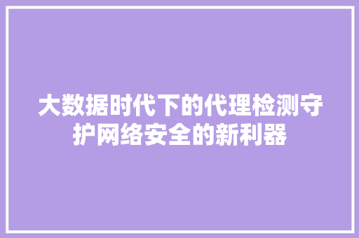 大数据时代下的代理检测守护网络安全的新利器