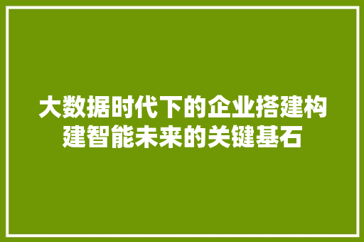 大数据时代下的企业搭建构建智能未来的关键基石  第1张
