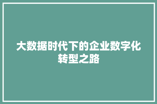 大数据时代下的企业数字化转型之路  第1张