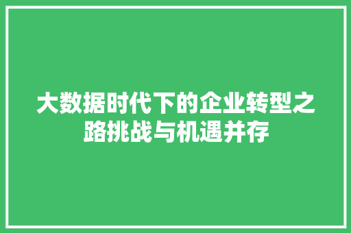 大数据时代下的企业转型之路挑战与机遇并存  第1张