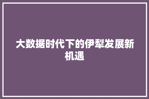 大数据时代下的伊犁发展新机遇
