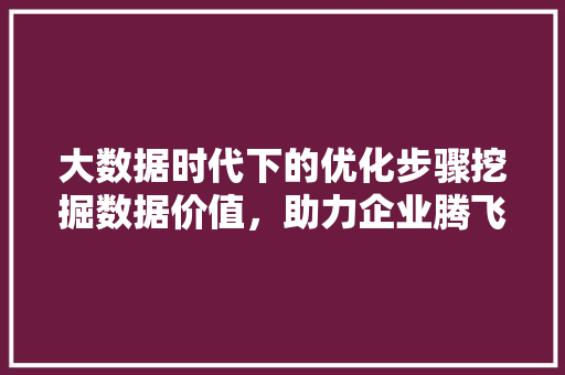 大数据时代下的优化步骤挖掘数据价值，助力企业腾飞  第1张