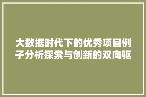 大数据时代下的优秀项目例子分析探索与创新的双向驱动  第1张