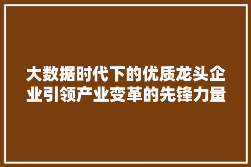 大数据时代下的优质龙头企业引领产业变革的先锋力量  第1张