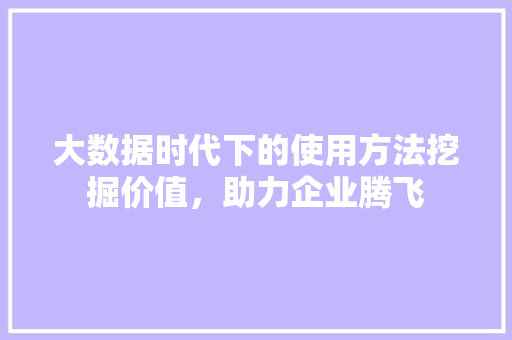 大数据时代下的使用方法挖掘价值，助力企业腾飞