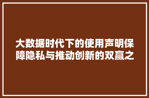 大数据时代下的使用声明保障隐私与推动创新的双赢之路