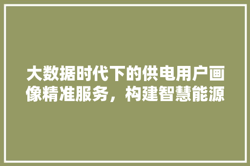 大数据时代下的供电用户画像精准服务，构建智慧能源未来  第1张