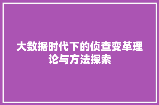 大数据时代下的侦查变革理论与方法探索  第1张