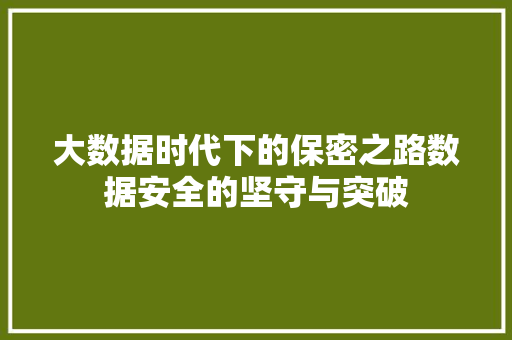 大数据时代下的保密之路数据安全的坚守与突破  第1张