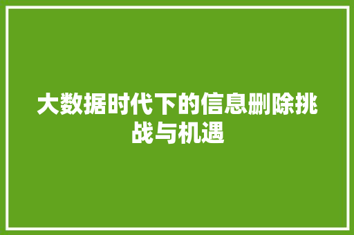 大数据时代下的信息删除挑战与机遇  第1张