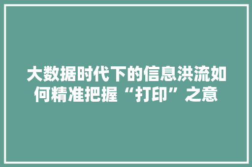 大数据时代下的信息洪流如何精准把握“打印”之意