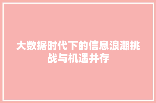 大数据时代下的信息浪潮挑战与机遇并存  第1张