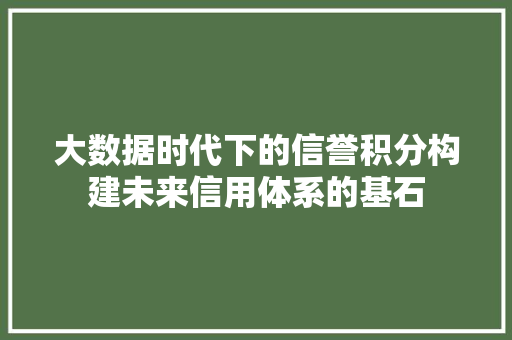 大数据时代下的信誉积分构建未来信用体系的基石  第1张