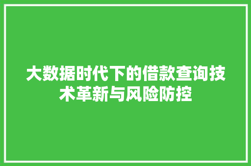 大数据时代下的借款查询技术革新与风险防控