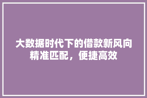大数据时代下的借款新风向精准匹配，便捷高效  第1张