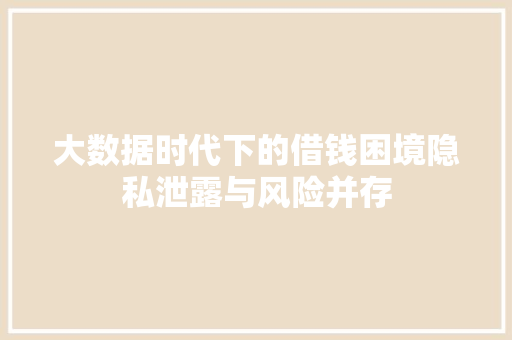 大数据时代下的借钱困境隐私泄露与风险并存