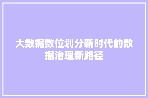 大数据数位划分新时代的数据治理新路径