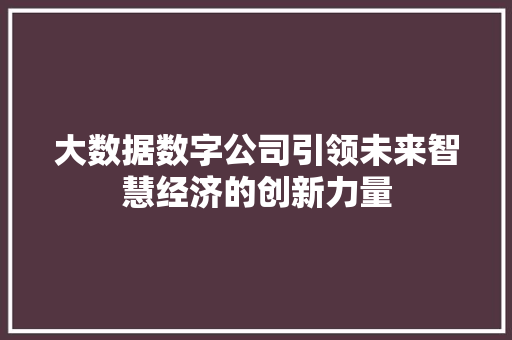 大数据数字公司引领未来智慧经济的创新力量
