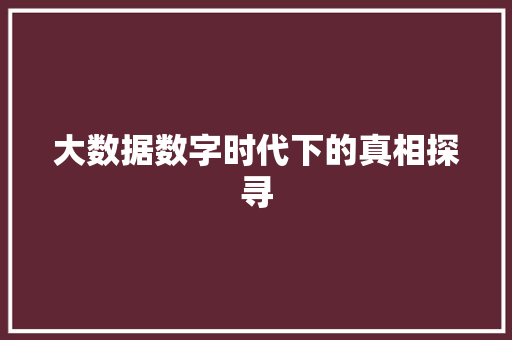 大数据数字时代下的真相探寻